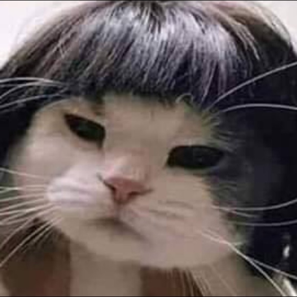 Meet your Posher, Alondra